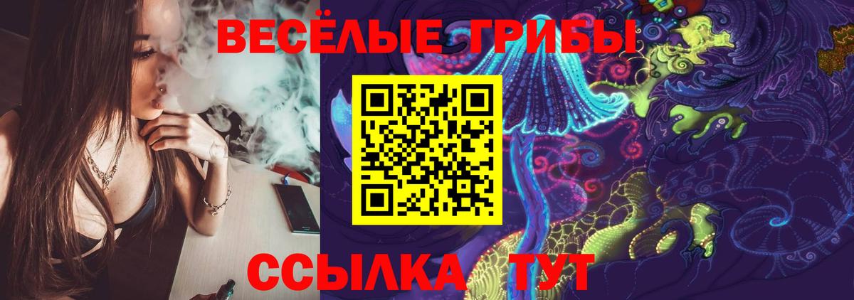 Псилоцибиновые грибы Psilocybe Моздок